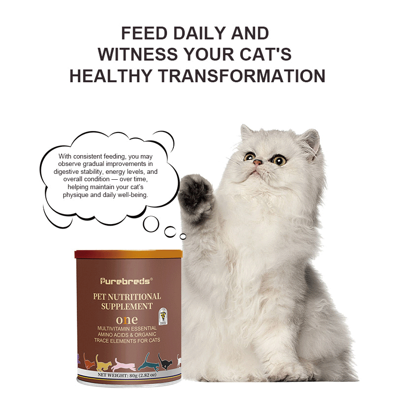Does My Cat Need a Daily Multivitamin?