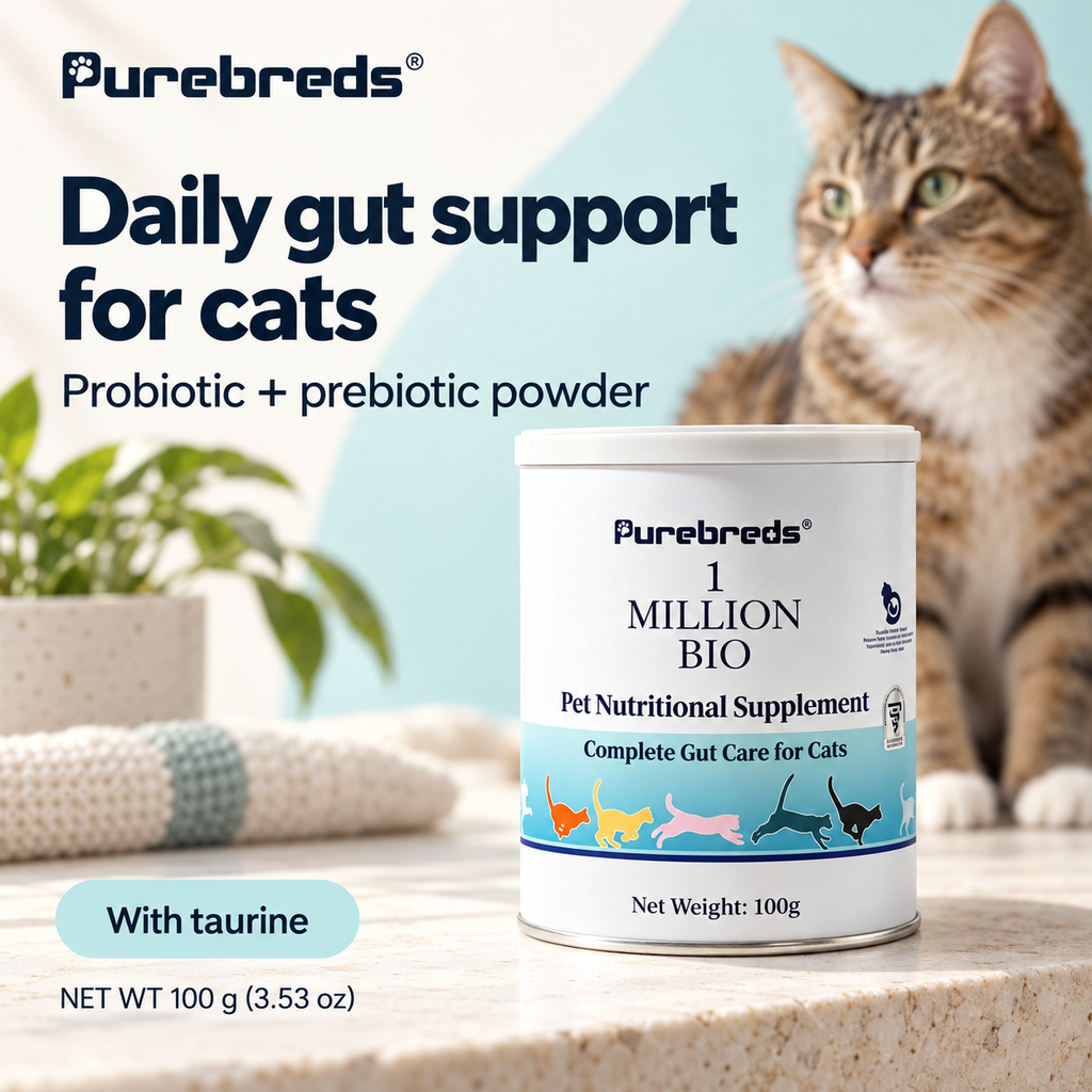 Daily Gut Support For Cats With Sensitive Digestion