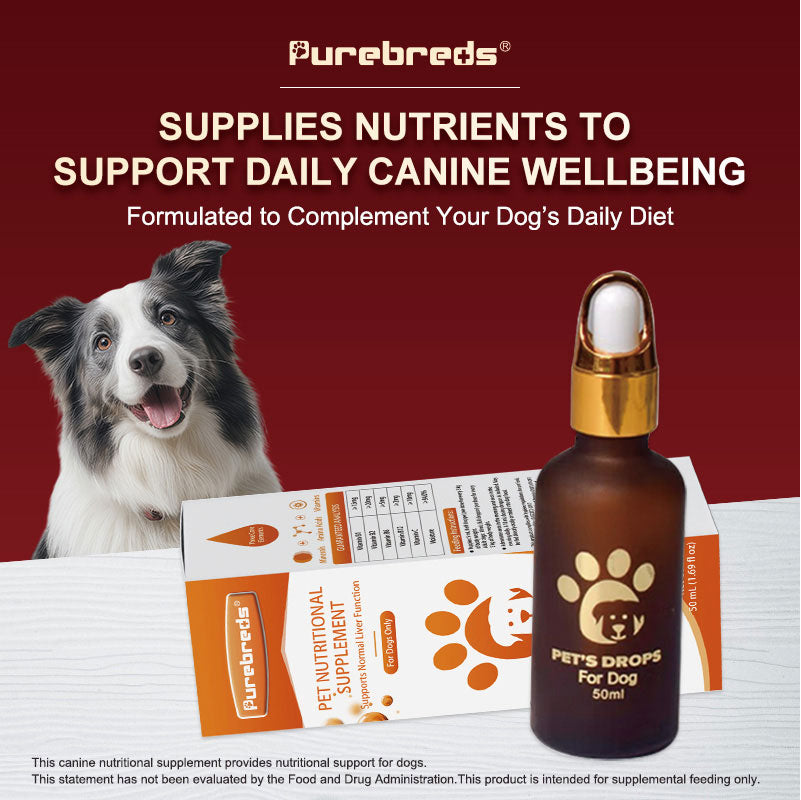 Purebreds Blood-Tonifying Nutritional Supplement for Dogs nutritional supplement overview