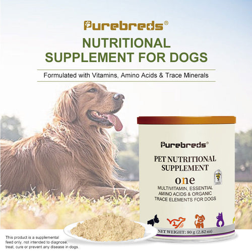 Purebreds nutritional supplement for dogs with vitamins amino acids and minerals