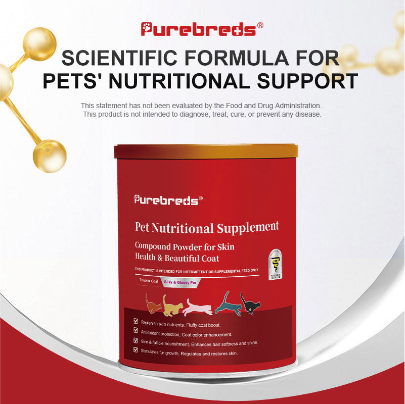Skin & Coat Health Complex Powder for Dogs & Cats product overview with pet