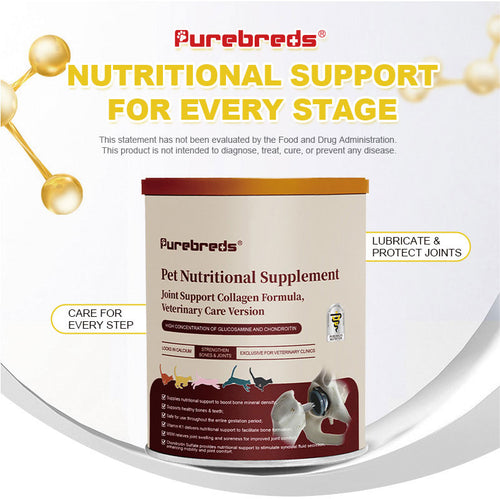 Calcium & Bone Support Complex Powder for Pets product package label and details