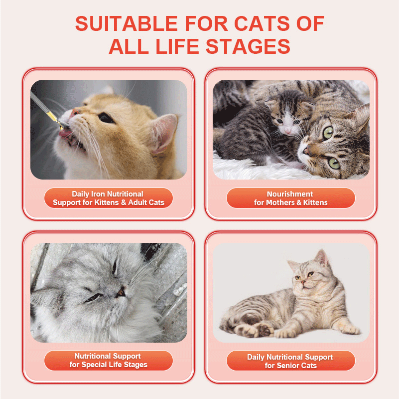 Purebreds Blood-Tonifying Nutritional Supplement for Cats nutritional supplement overview
