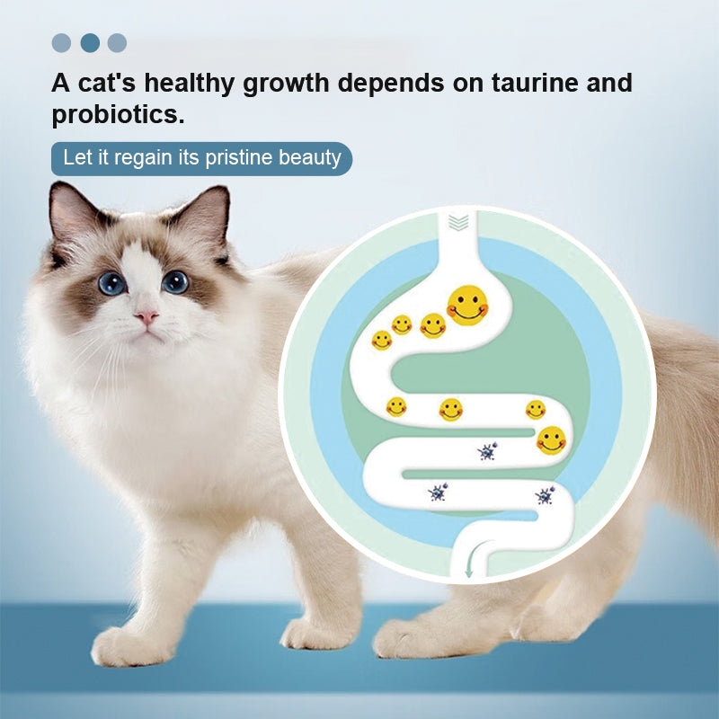猫用腸活サプリメント 100g