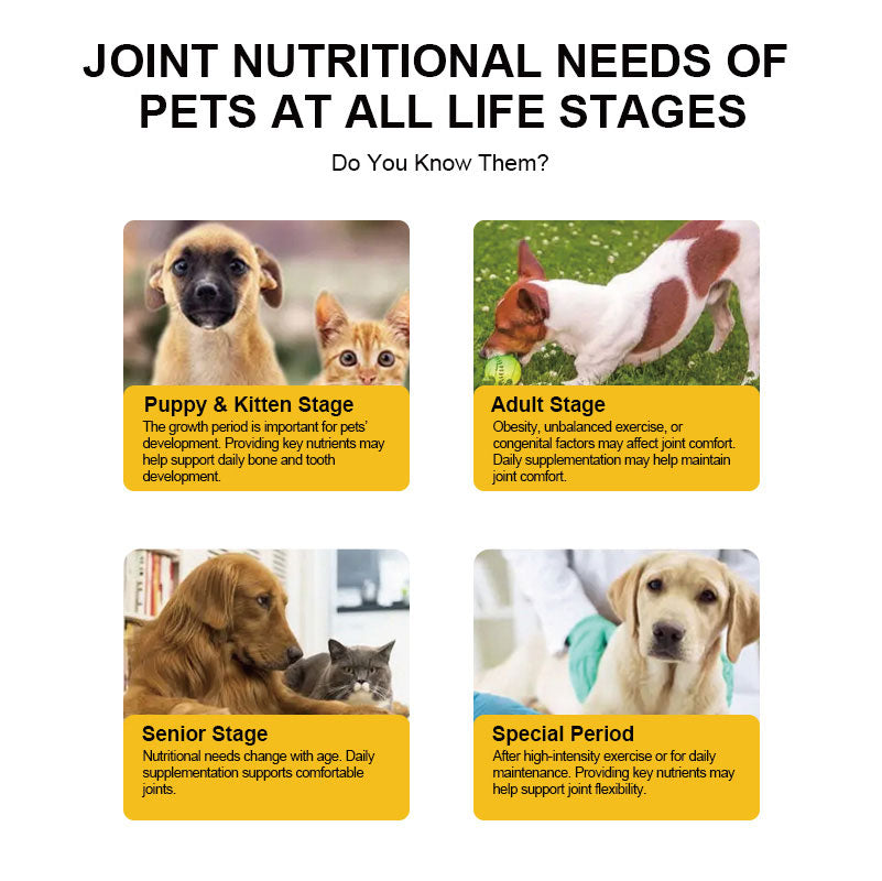 Calcium & Bone Support Complex Powder for Pets product overview with pet
