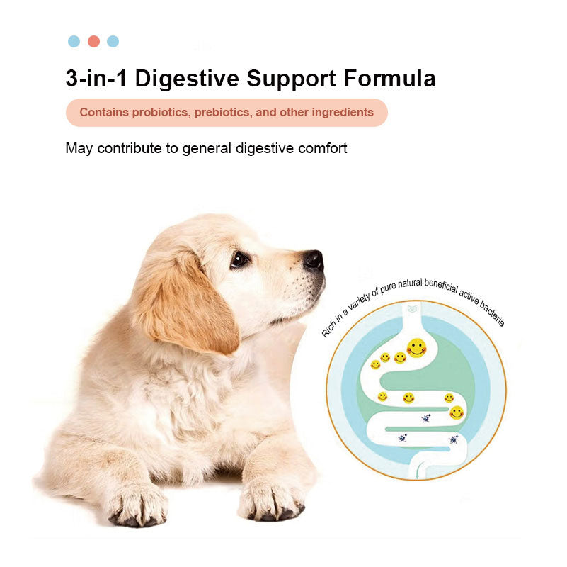 Canine Gut Health Supplement 100g product overview with pet