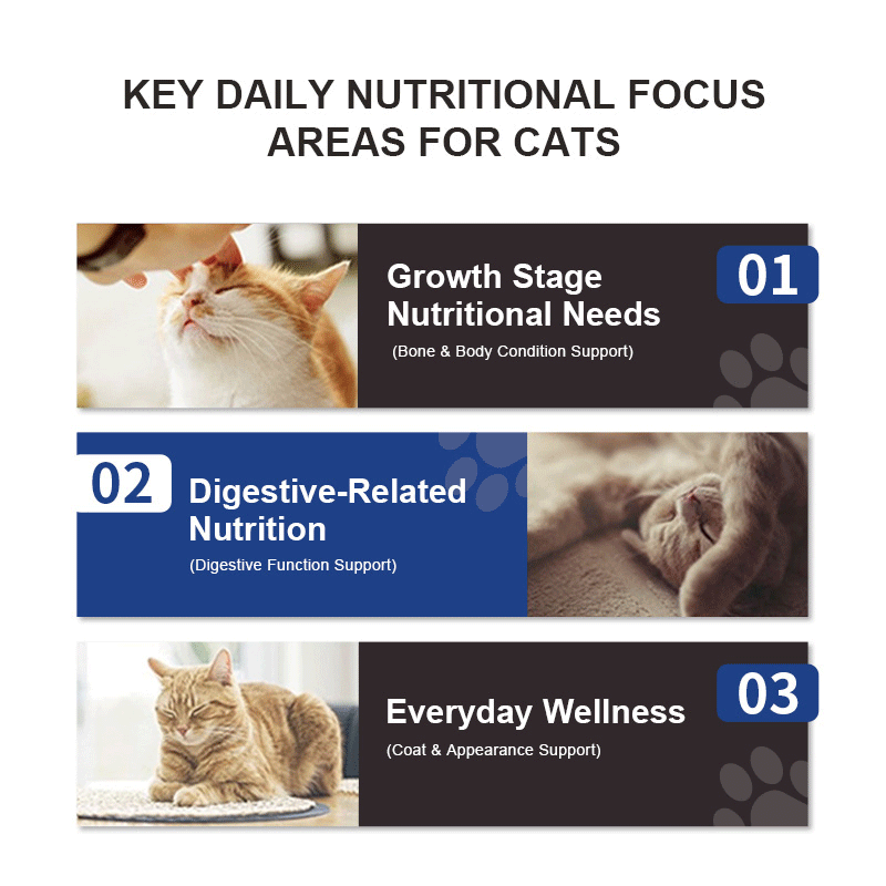 Feline Multivitamin Amino Acid & Trace Element Supplement key product benefits