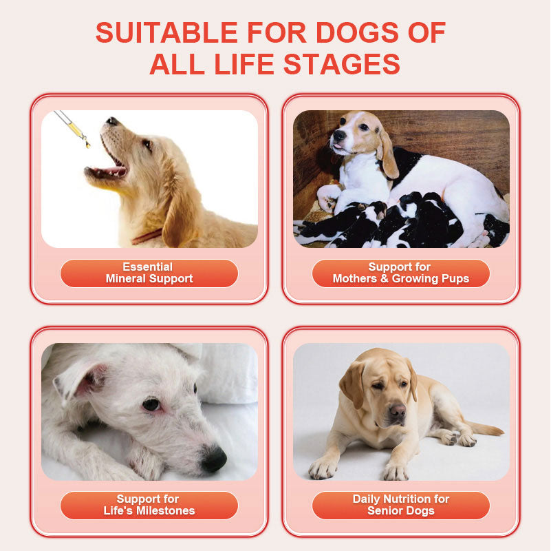 Purebreds Blood-Tonifying Nutritional Supplement for Dogs daily vitality support benefits