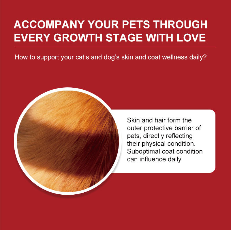 Skin & Coat Health Complex Powder for Dogs & Cats key product benefits