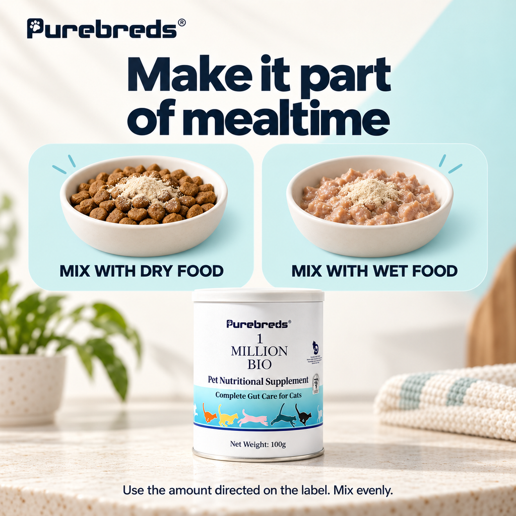 Daily Gut Support For Cats With Sensitive Digestion