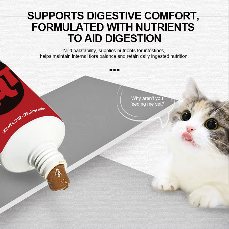 cat hairball paste supporting digestive comfort