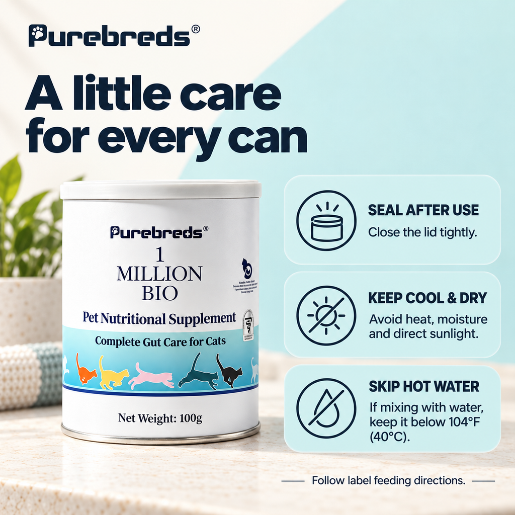 Daily Gut Support For Cats With Sensitive Digestion