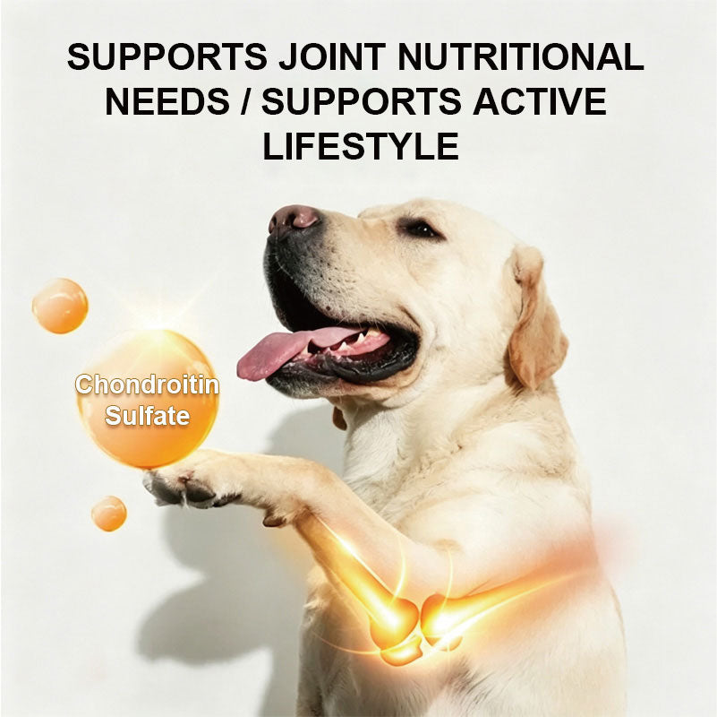 Calcium & Bone Support Complex Powder for Pets formula and ingredient highlights