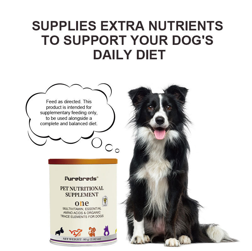 canine multivitamin supplement supporting a balanced daily diet