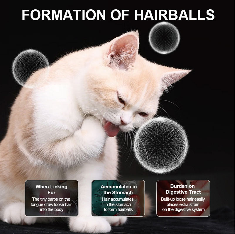 diagram showing how hairballs form in cats