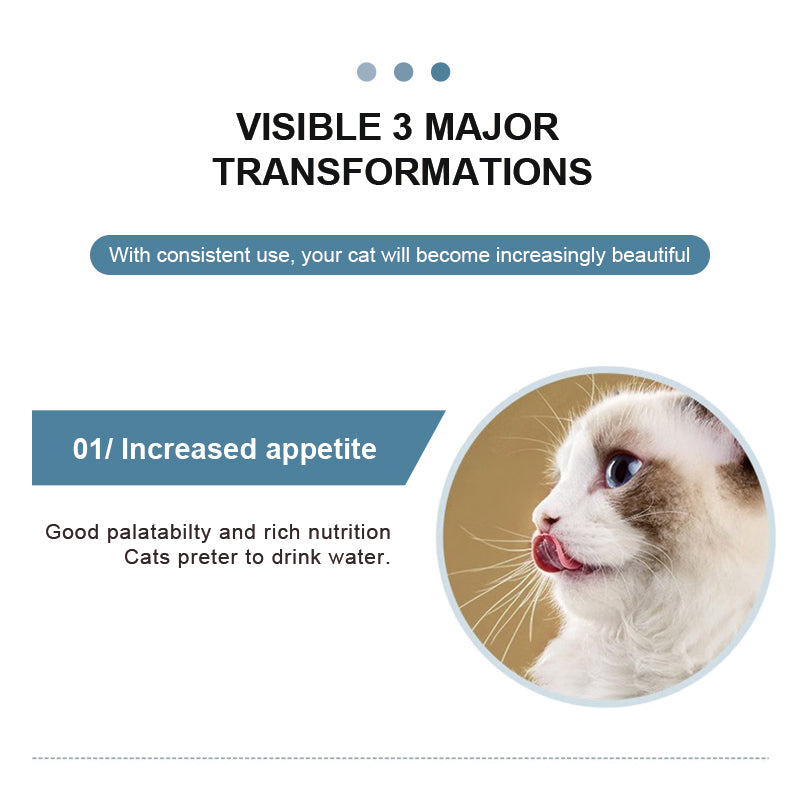 Feline Gut Health Supplement 100g