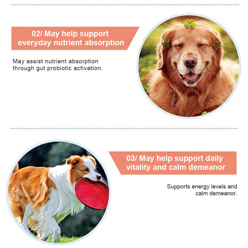 Canine Gut Health Supplement 100g how the product works