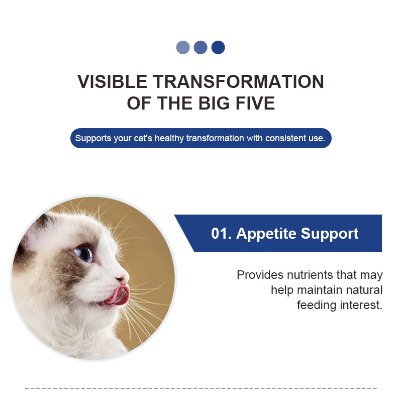 Feline Multivitamin Amino Acid & Trace Element Supplement feeding or serving guidance