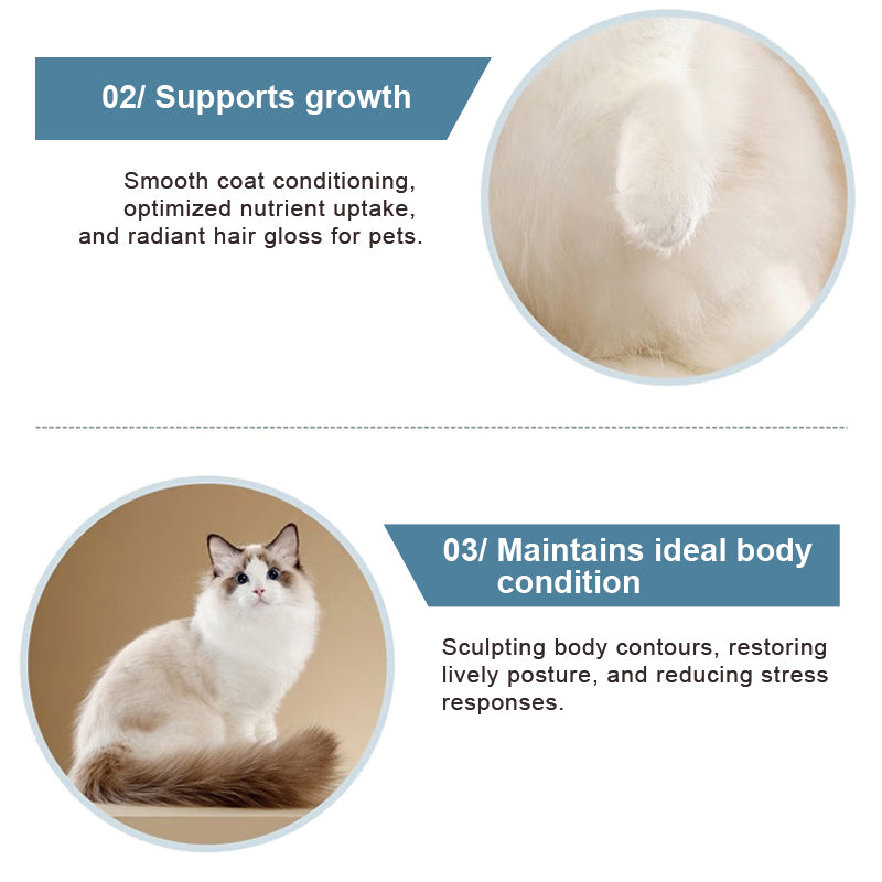 Feline Gut Health Supplement 21g
