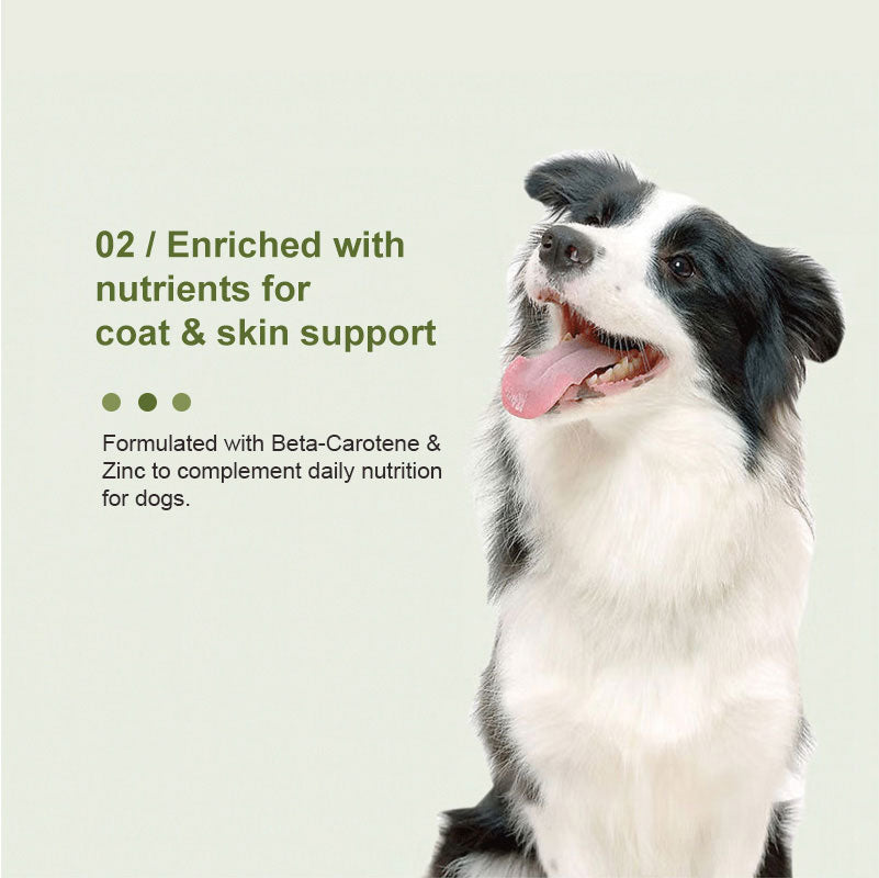 canine multivitamin nutrients supporting skin and coat health