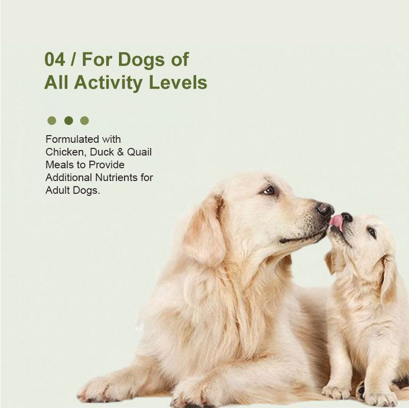 Purebreds multivitamin formulated for dogs of all activity levels