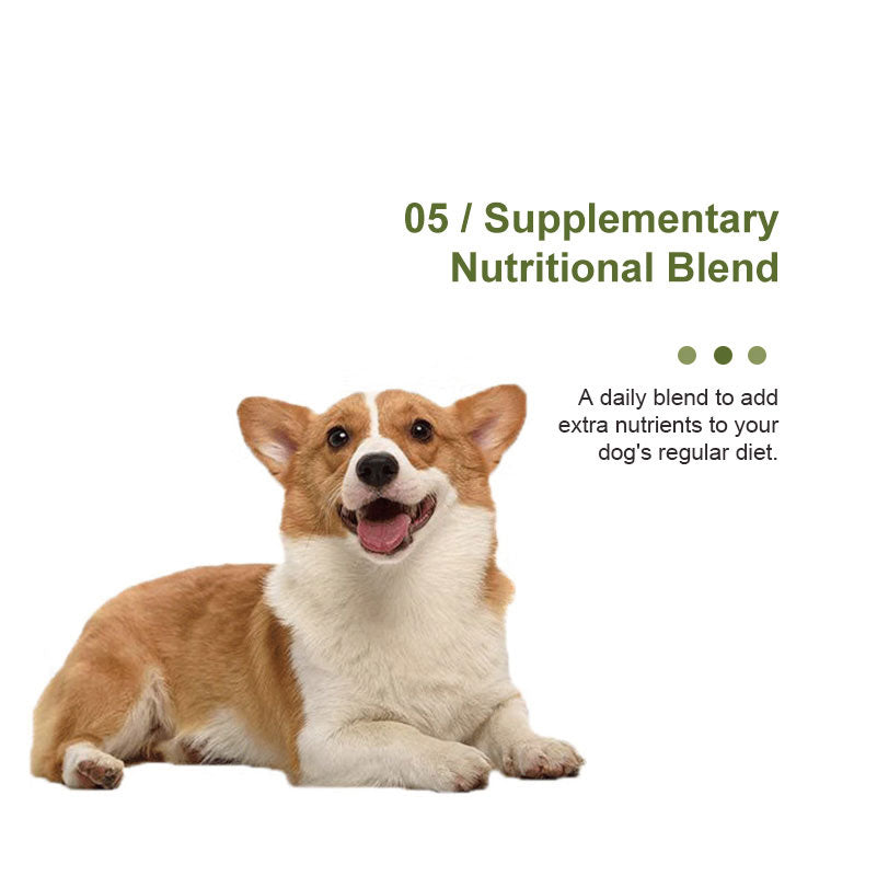 supplementary nutritional blend for dogs
