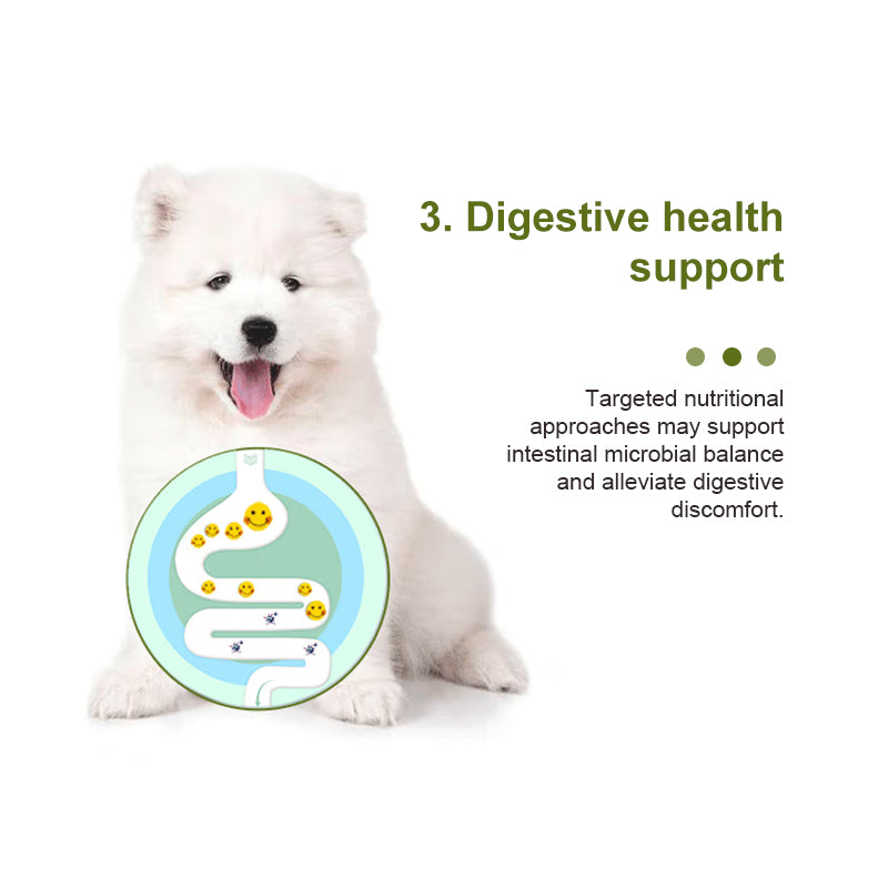 Canine Multivitamin Amino Acid & Trace Element Supplement 80g