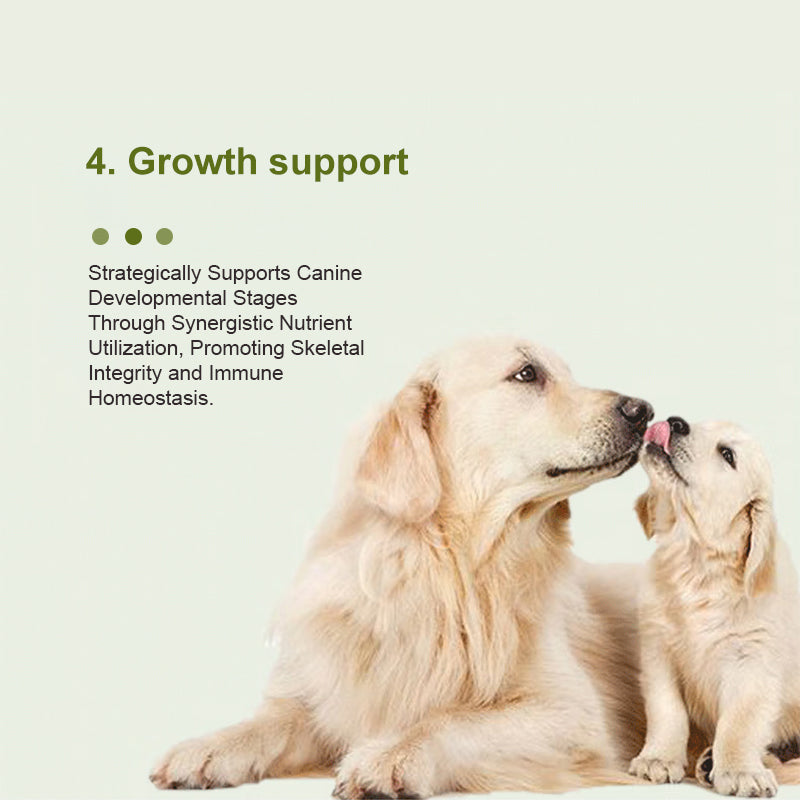Canine Multivitamin Amino Acid & Trace Element Supplement 80g