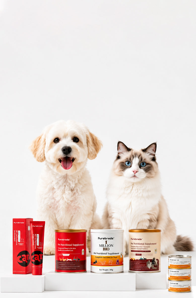 Happy pet enjoying everyday wellness