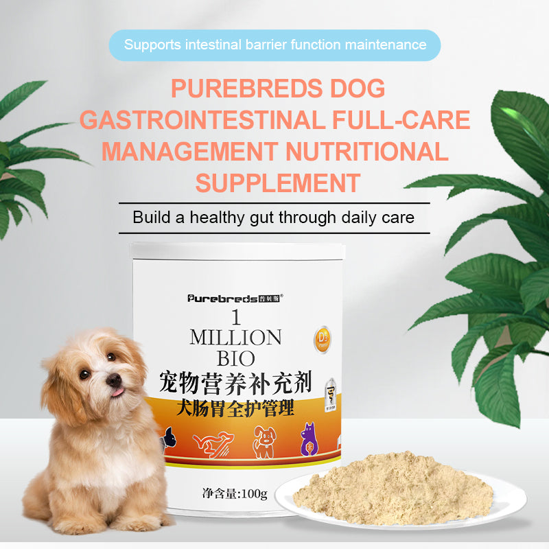 Canine Gut Health Supplement 100g