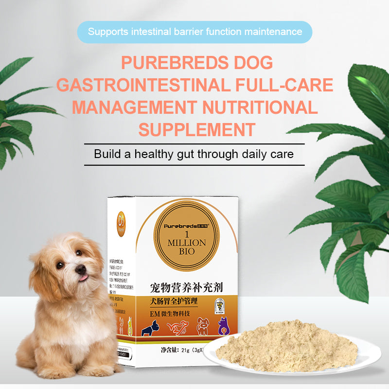 Canine Gut Health Supplement 21g