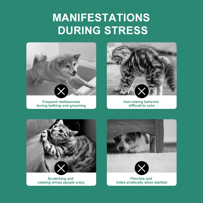 PROLAMORE Anti-Stress & Soothing Agent for Dogs & Cats common stressful situations for pets