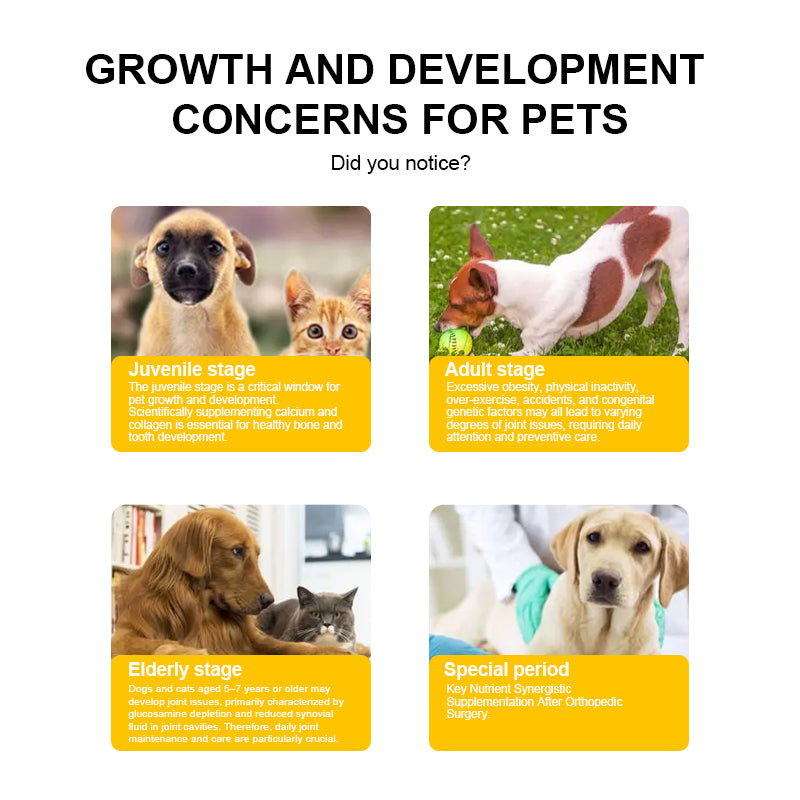 Calcium & Bone Support Complex Powder for Pets