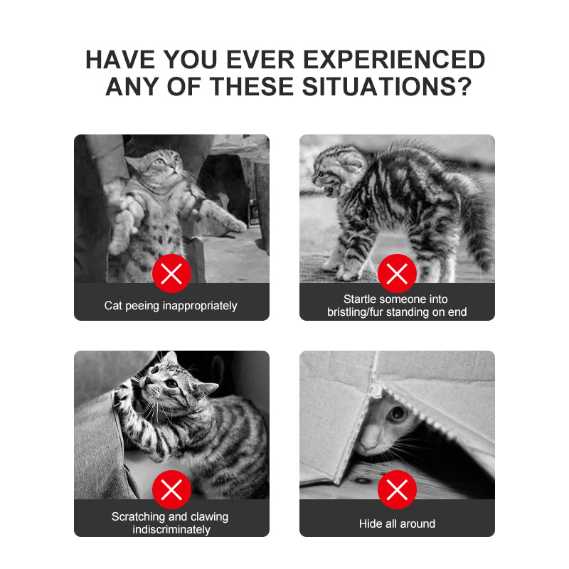 PROLAMORE Cat Anti-Stress & Soothing Agent calming supplement overview