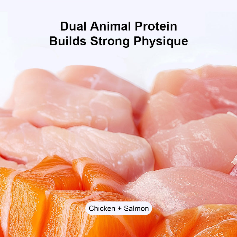Purebreds Complete Prescription Diet Intestinal Care Prescription Cat Food complete diet overview