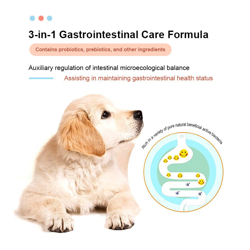 Canine Gut Health Supplement 100g