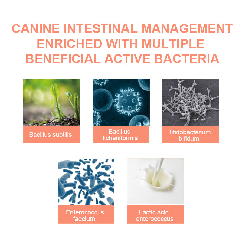 Canine Gut Health Supplement 100g