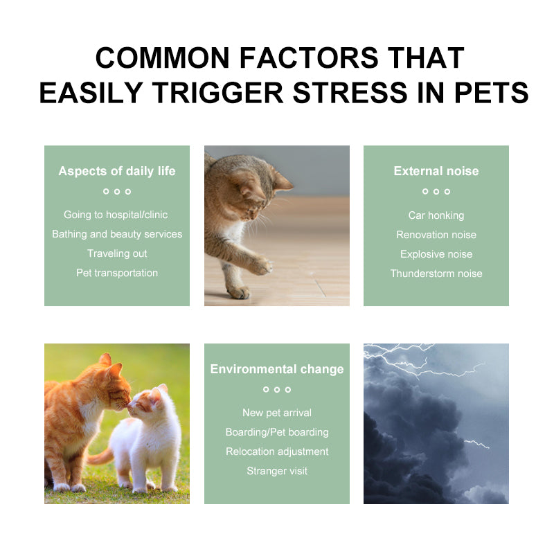 PROLAMORE Cat Anti-Stress & Soothing Agent common stressful situations for pets