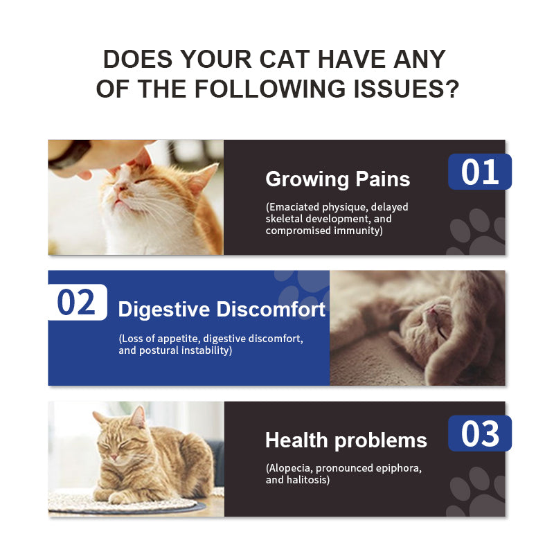 Feline Multivitamin Amino Acid & Trace Element Supplement 80g