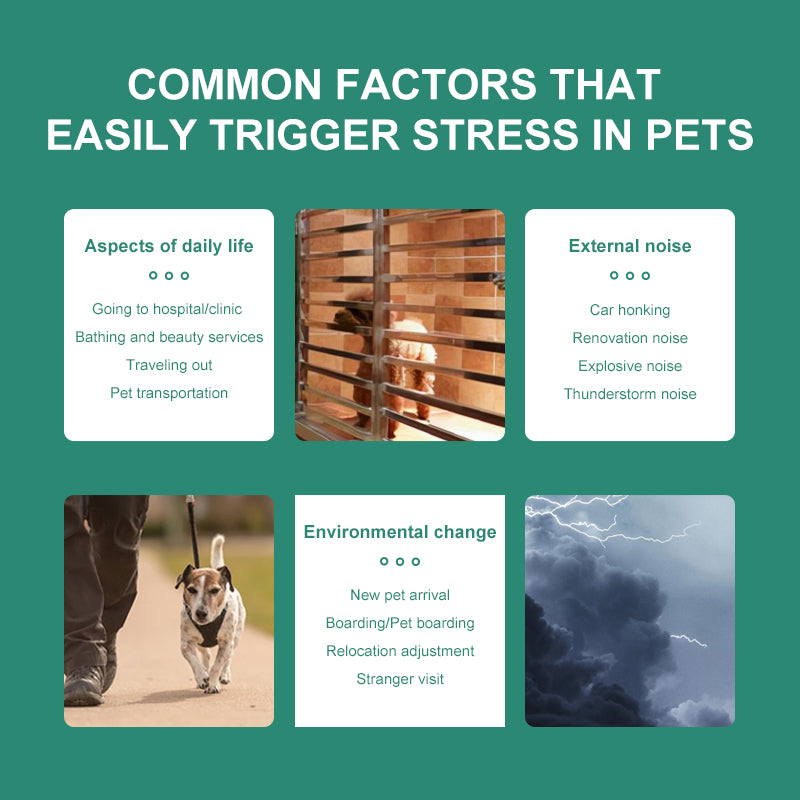 PROLAMORE Anti-Stress & Soothing Agent for Dogs & Cats key calming support benefits