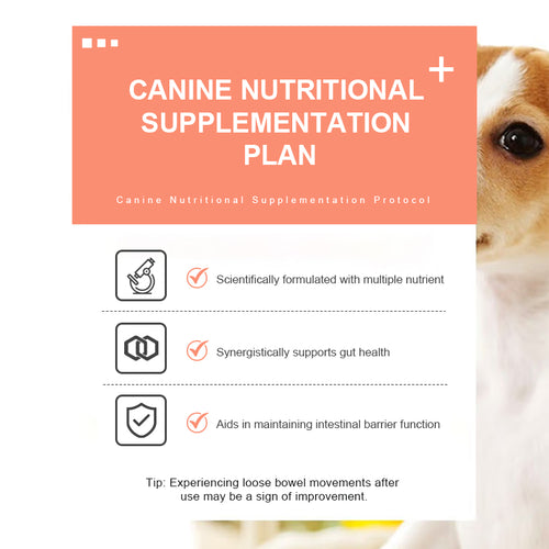 Canine Gut Health Supplement 100g