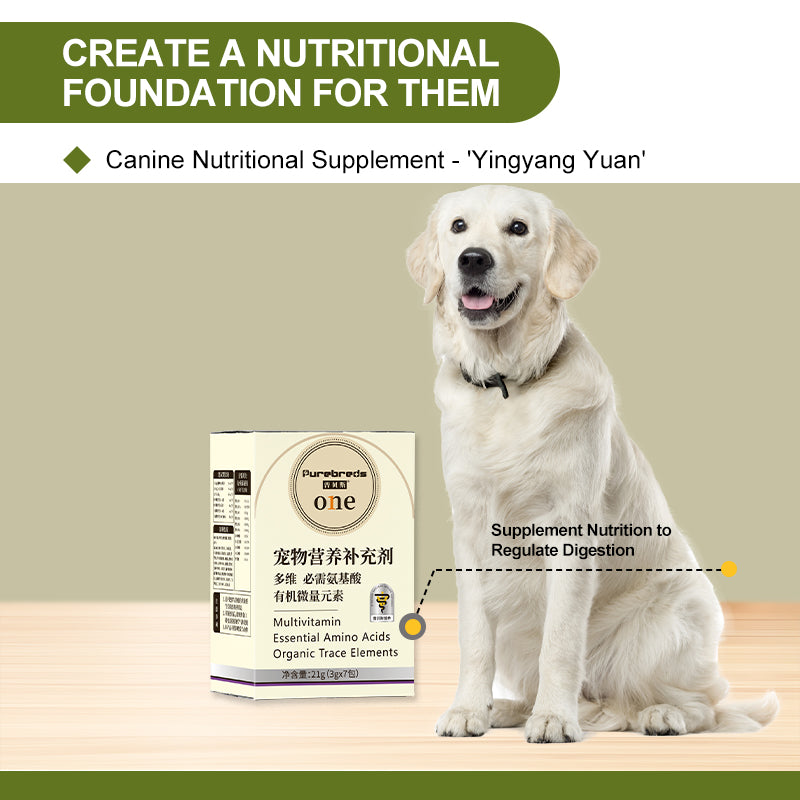 Canine Multivitamin Amino Acid & Trace Element Supplement 21g