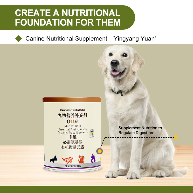 Canine Multivitamin Amino Acid & Trace Element Supplement 80g