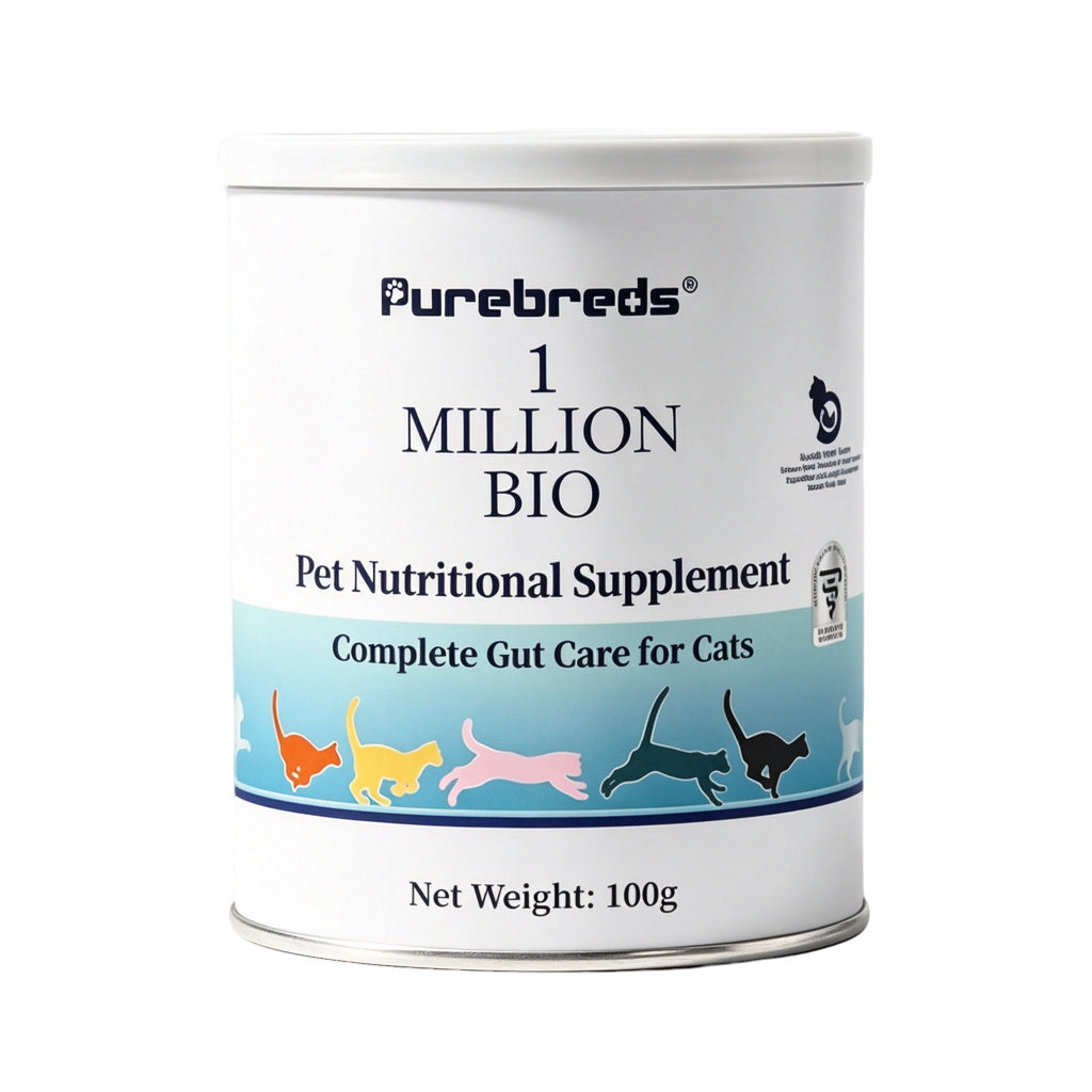 front package of Purebreds Feline Gut Health Supplement 100g