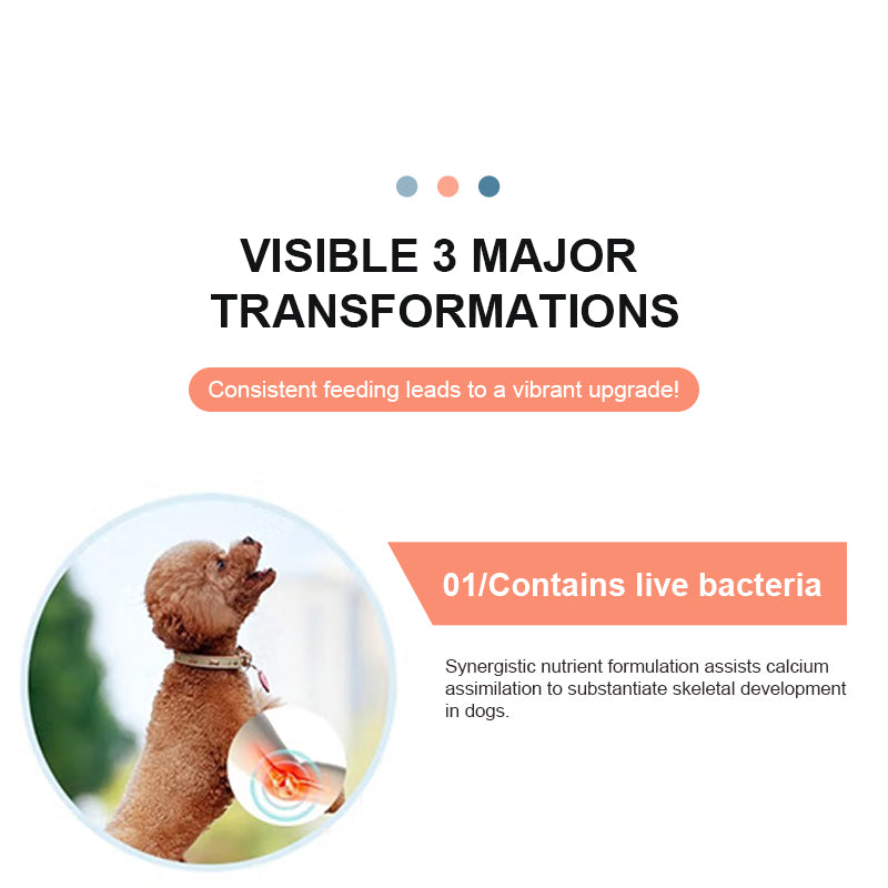 Canine Gut Health Supplement 21g
