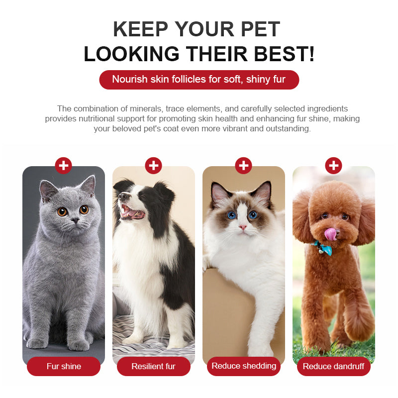 Skin & Coat Health Complex Powder for Dogs & Cats