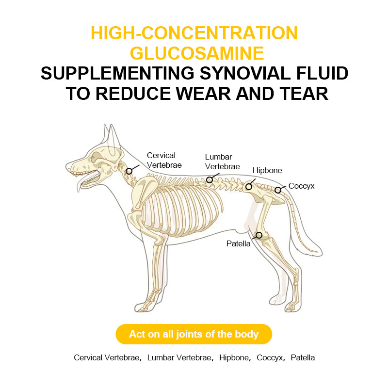 Calcium & Bone Support Complex Powder for Pets