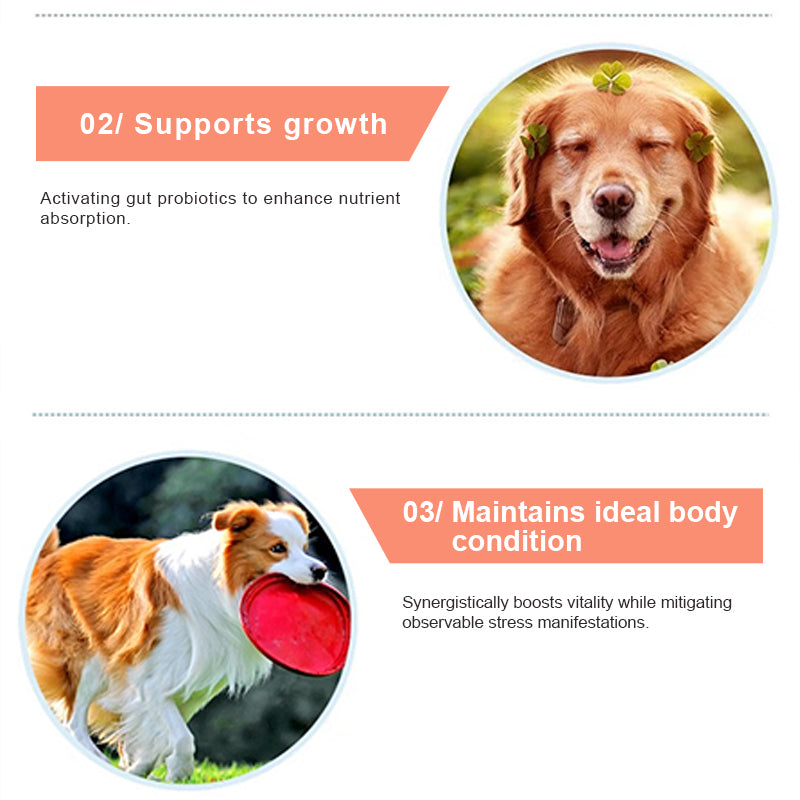 Canine Gut Health Supplement 21g