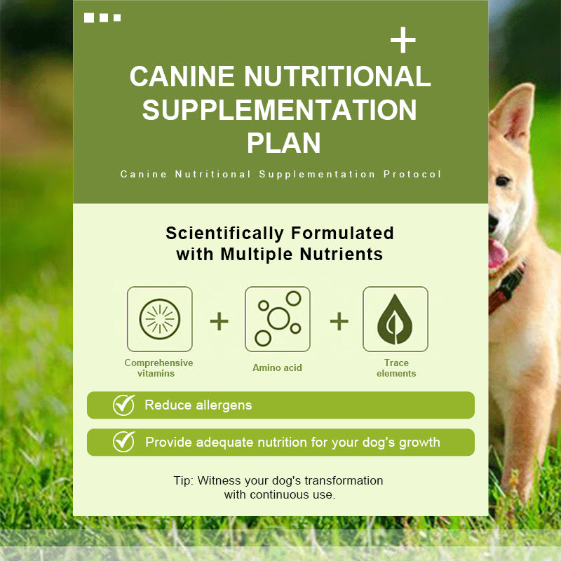 Canine Multivitamin Amino Acid & Trace Element Supplement 80g