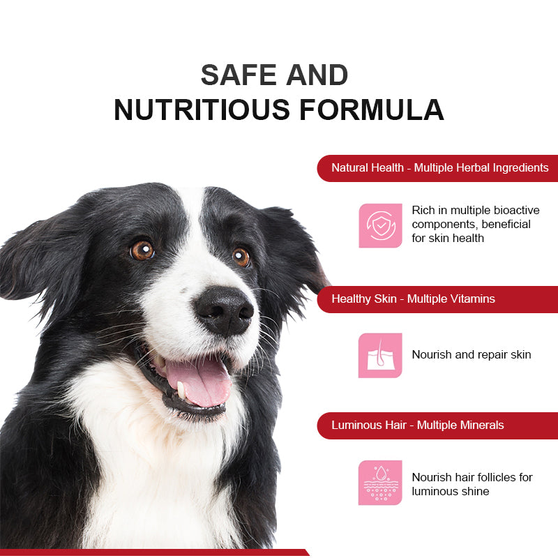 Skin & Coat Health Complex Powder for Dogs & Cats